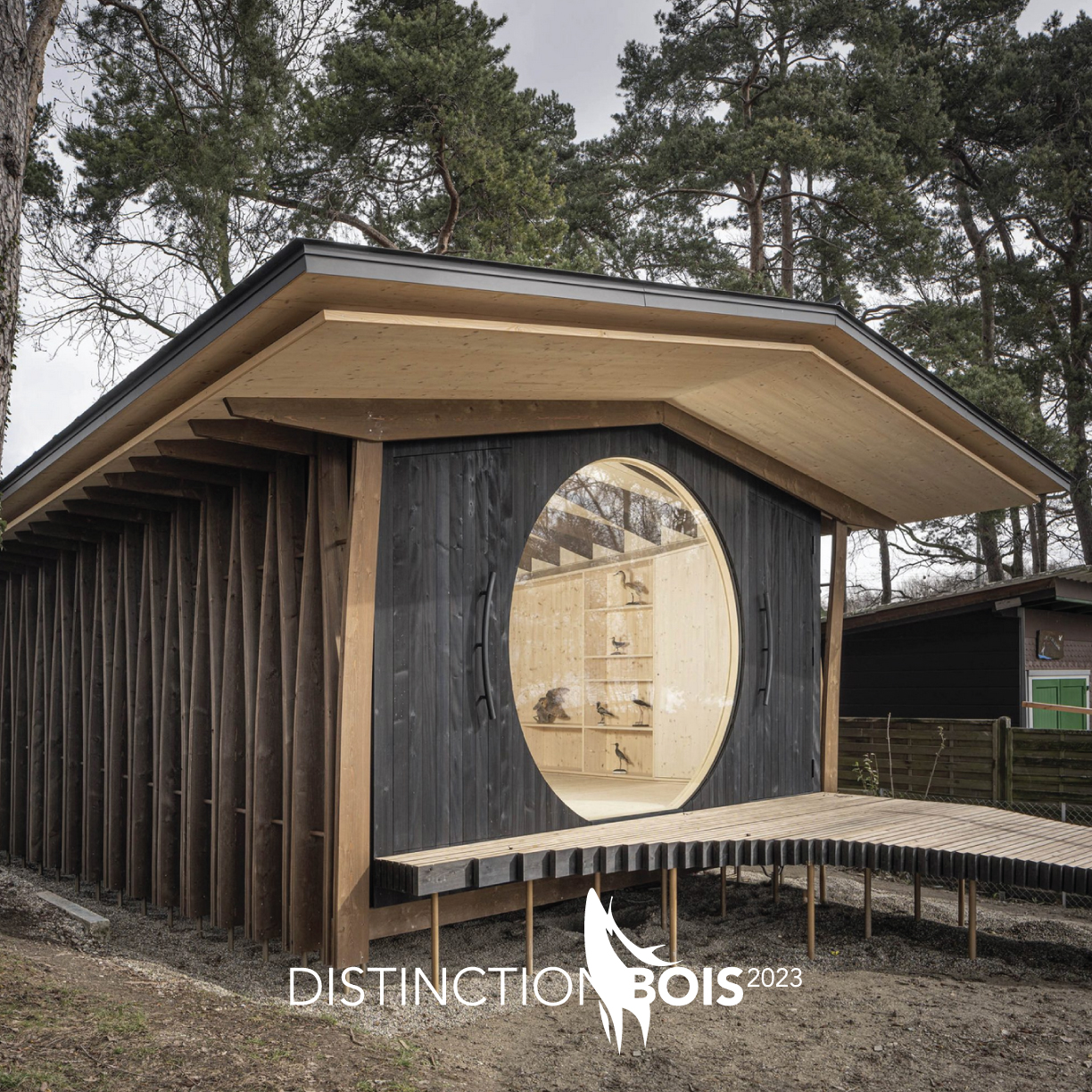 Distinction_Bois_2023_04